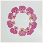 天然押し花素材　No.14