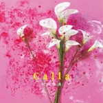 シングル『 Calla 』
