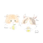専用ページ