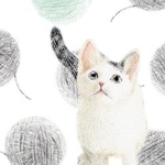 cats＊ポストカードセット