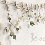 ガーランド 〔green pompom〕