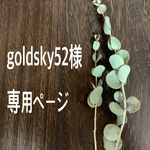 goldsky52様専用ページ