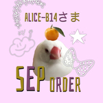 ①alice-b14さま　9月便　1/3