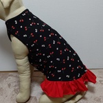 大型犬服ワンピース黒サクランボ柄