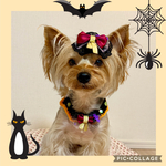 ハロウィン リボン 