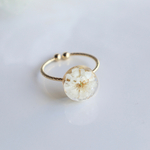 (数量限定カラー)❁カスミ草の標本リング -Antique White- (sizefree)
