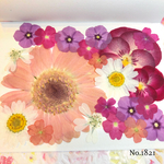 ♡new♡  ♡可愛い押し花セット♡ ♡使いやすい少量の押し花セット♡