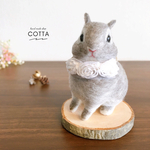 ネザーランドドワーフ　羊毛フェルト　うさぎ　人形