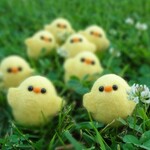 りょうこ様専用ページ