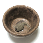カブトエビのぐい呑