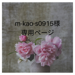 専用出品