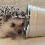 kel****様専用
