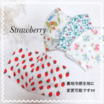 【抗菌】strawberry(いちご) 立体マスク 〈キッズマスク〉〈ジュニアマスク〉〈小さめマスク〉〈大きめマクス〉〈花粉対策〉