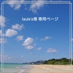 laule'a様 専用ページ 【ホワイト×シルバーmix】2本  ロングタッセル他1点