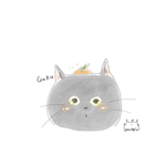 専用ページ