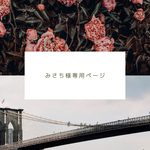 みさち様専用ページ