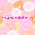 etsuko01様専用ページ　マスク3枚セット