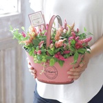 レインボーキャッスルの寄せ植え　sサイズ