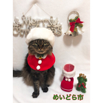 クリスマスケープ(長)、猫ちゃんの首輪