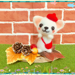 🐶🍁チワワちゃんの秋のお散歩🐶🍁