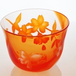 ～fish&flower～金魚とさくらの冷茶グラス