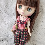20㎝ドール服セット