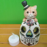スカルランプ💀エキゾチックショートヘア②