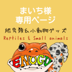 [まいち様専用]爬虫類ステッカー