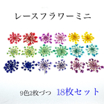 【18枚】ミニレースフラワー の押し花（9色）
