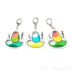 コザクラインコ アクリルキーホルダー 3164-4047