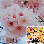 MY様  専用ページ⑅︎◡̈︎*……確認用