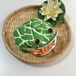カエル　夕張ケロン3兄弟　☆三男☆