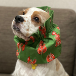 エビ柄❤︎グリーン　中型犬用スヌード　犬用スヌード