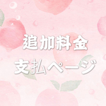 追加料金ページ