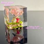 Sakura Garden〜桜の下で逢いましょう〜
