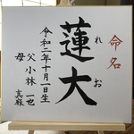 オーダー命名書　風格ある色紙　代筆