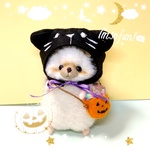 ハリネズミのハロウィンA🎃くろねこ