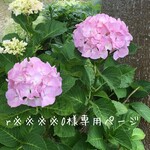 ◆  r※※※70様専用ページ  ◆
