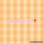《 mahayuru様専用❣️》犬服 ワンピース(オーダー)4点セット
