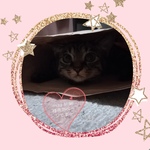 misa4696 様専用ページです☆