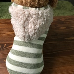 犬服‼︎ダックスS  ボーダーもこ グリーン