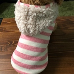 犬服‼︎ボーダーもこ ピンク☆XS.S.M.DXS.DS.DM