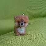 ポメラニアン パピー オレンジ ストラップ 羊毛フェルト