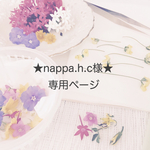 ★nappa.h.c様★専用ページ