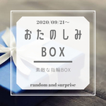 【届いてからのお楽しみ】お楽しみBOX【指輪編】