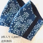 ２枚入り秋冬向け小花模様立体マスク