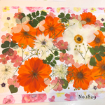 ♡new♡  ♡可愛い押し花セット♡ ♡たくさん入って使いやすい押し花セット♡