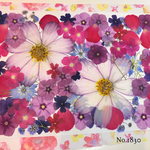 ♡new♡  ♡可愛い押し花セット♡ ♡たくさん入って使いやすい押し花セット♡