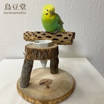 【mizupapa様専用】カクタスボーンスタンドパーチ（サボテンの骨卓上パーチ）【セキセインコ・オカメインコ・ウロコインコ】
