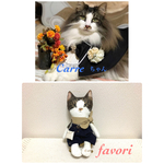 【オーダー様専用】うちの子♥猫人形  ぬいぐるみ